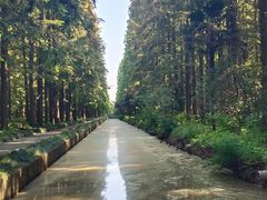 -上海怡沁园度假酒店