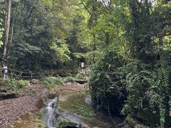 -碧峰峡风景区