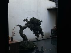-觀芷隐轩