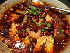 精品毛血旺-旺顺阁海鲜广场(亚运村店)