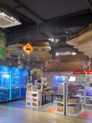 -卡通尼·Safari非洲探索乐园·生日会(金桥国际商业广场店)