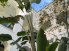 -阿里·本·优素福神学院