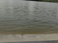 -咸阳湖景区