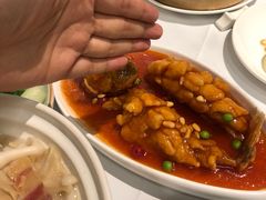 松鼠鱼-翡翠江南(国贸商城店)
