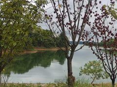 -中海·庐山西海君澜度假酒店·味屿全日制餐厅