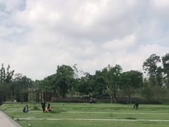-秀丽东方