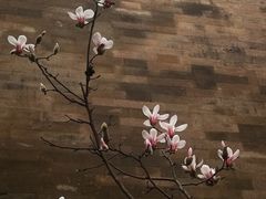 -东华门大街小区