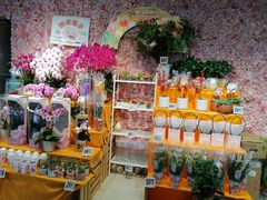 -盒马鲜生(馥邦国际店)