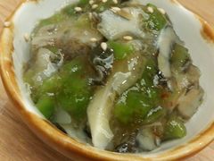 -一本钓鲔鱼屋