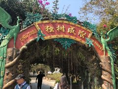 -瑞丽独树成林风景区