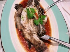 清蒸鲈鱼-一品滇香·云南菜(公益西桥店)