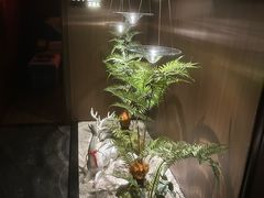 -大桶大足浴(山钢和润荟店)