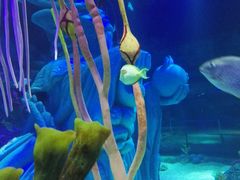 -沈阳海洋探索中心