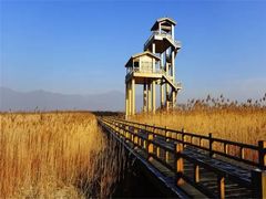 -野鸭湖国家湿地公园