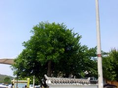 -平乐古镇
