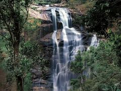 -海南热带雨林国家公园吊罗山景区