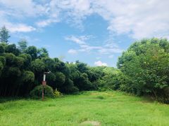 -同里国家湿地公园
