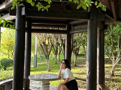 -桐乡植物园