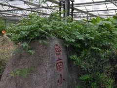 -兰陵国家农业公园