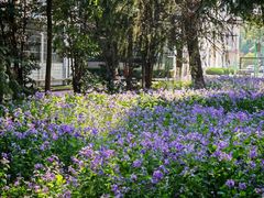-江苏科技大学(梦溪校区)