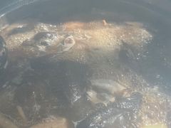 -太婆天府山珍酒楼(亚运村店)