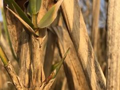 -上海滴水湖皇冠假日酒店