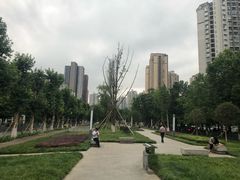-龙头寺公园