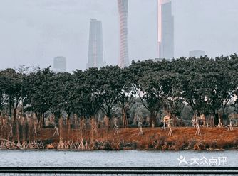 附修图教程·来这里可以拍到广州地标三件套！