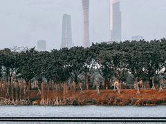 -海珠湖公园