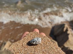 -老虎石海上公园