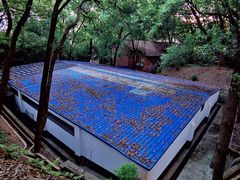 -马王堆汉墓遗址