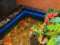 -隐炉和牛烧肉店(群力店)