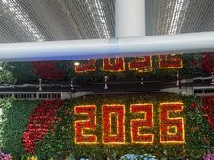 -广州白云国际机场-T2航站楼