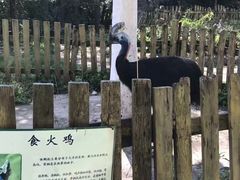 -哈尔滨北方森林动物园