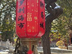 -淄博聊斋城景区