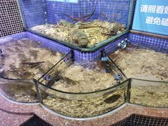 -青蓬蒸汽海鲜·深圳老字号·团建聚会(壹方城店)