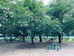 -廊坊市自然公园