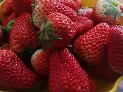 -红星农博物流中心