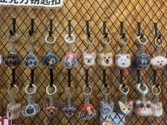 -和它·交个朋友·狗咖猫咖(爱琴海店)