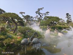 -罗红摄影艺术馆