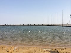 -碧海金沙