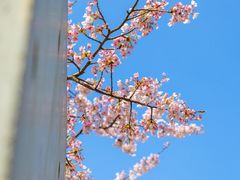 -静安雕塑公园