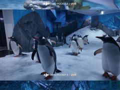 -暹罗海洋世界