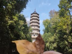 -灵谷景区