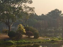 -东莞植物园
