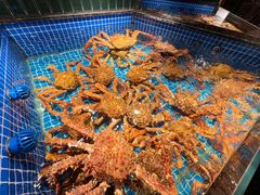 -海月轩海鲜豆捞(紫金塔店)