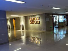-郑州新郑国际机场T2航站楼-贵宾厅B区