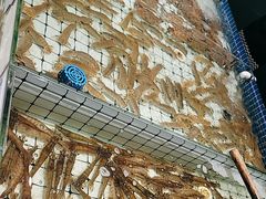 -大锅强·蒸海鲜青岛菜(金沙滩店)