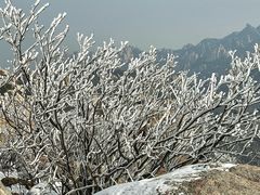-崂山巨峰游览区