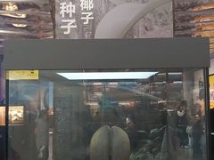 -浙江自然博物院(杭州馆)